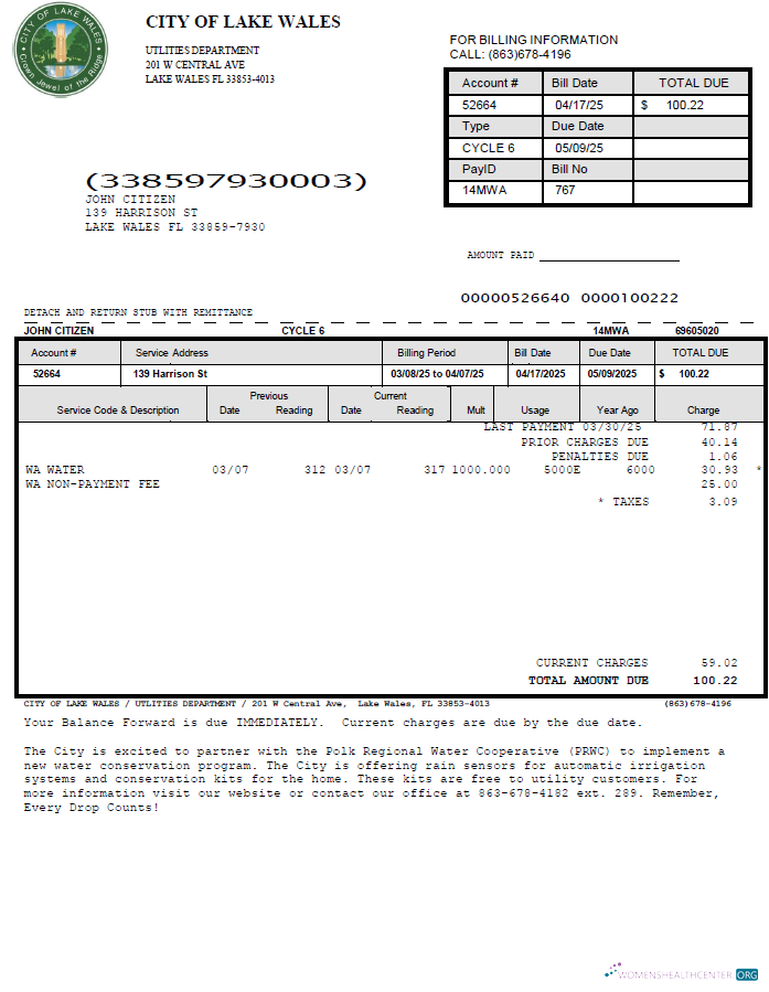 download download USA City of Lake Wales utility bill template in Word and PDF formats PDF template PDF template